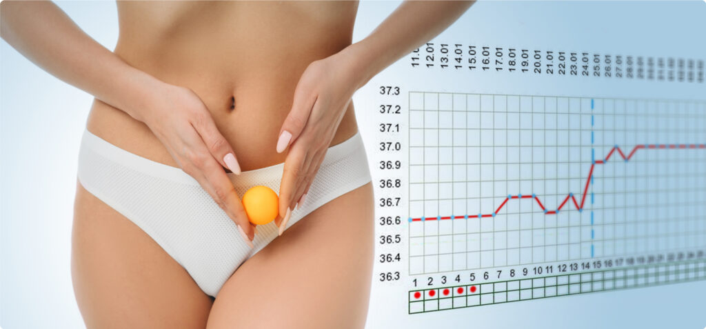 Rụng trứng là gì? Cách tính ngày rụng trứng đơn giản