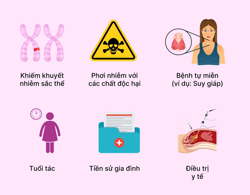 Nguyên nhân gây ra suy buồng trứng sớm